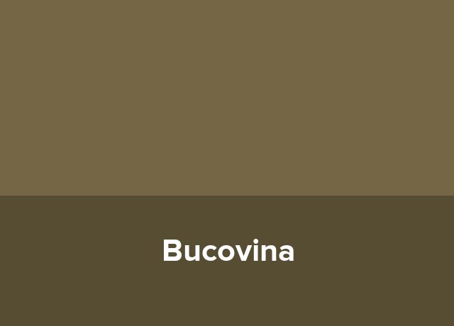 Pensiunea Bucovina