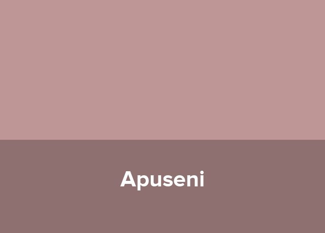 Hotel plutitor Apuseni