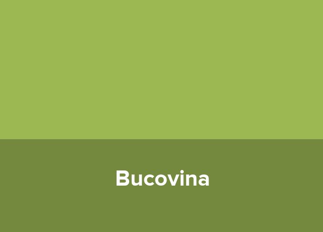Hostel Bucovina