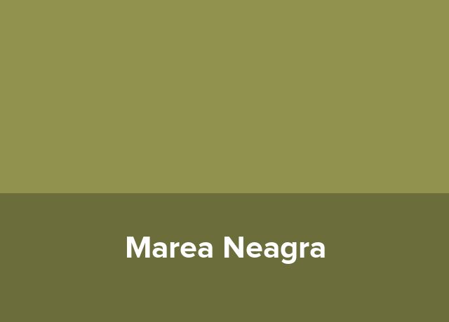 Casa Marea Neagra