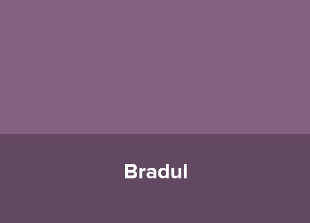 Vila Bradul
