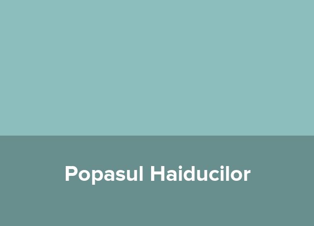 Conac Popasul Haiducilor