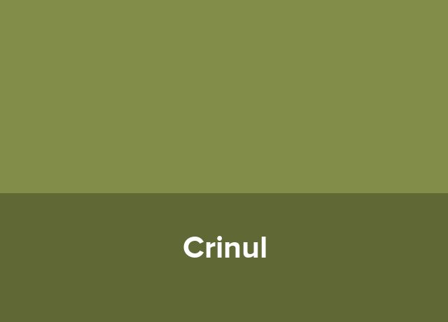 Hotel Crinul
