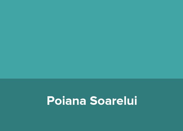 Pub Poiana Soarelui