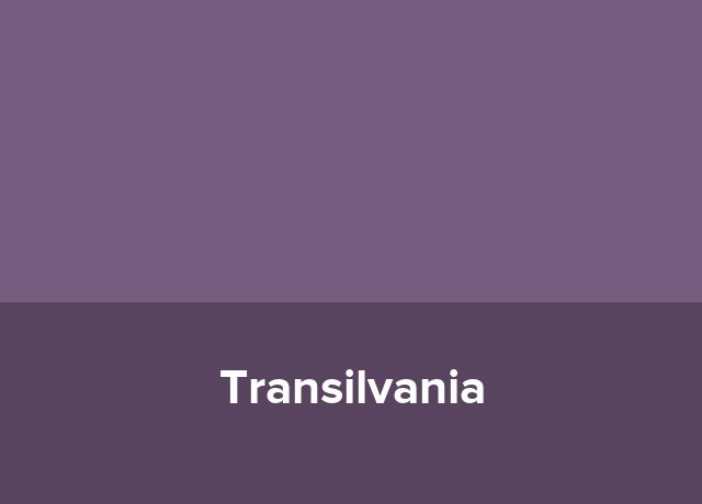 Pensiune urbana Transilvania