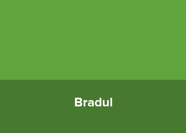 Complex gospodaresc Bradul