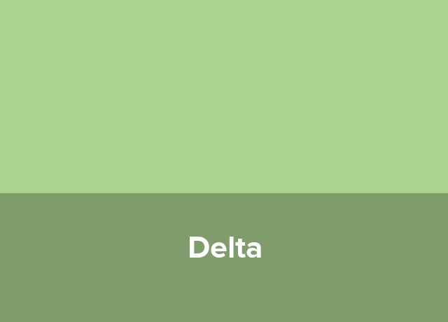 Garsoniera Delta