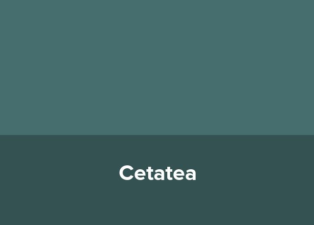 Motel Cetatea