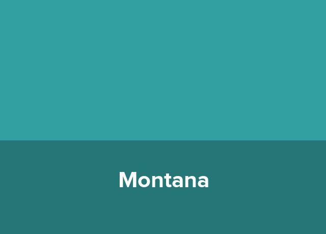 Hotel plutitor Montana