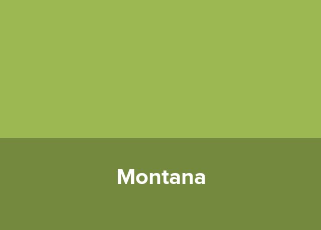 Resort Montana