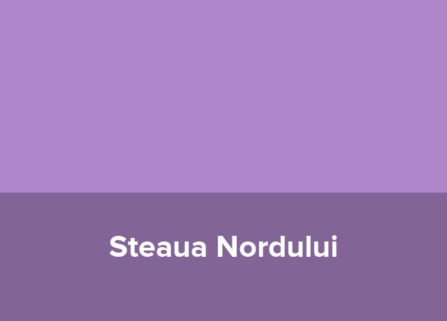 Tabara Steaua Nordului