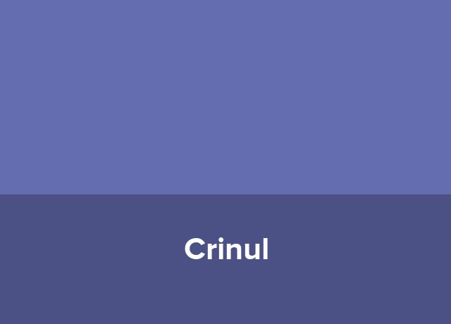 Penthouse Crinul