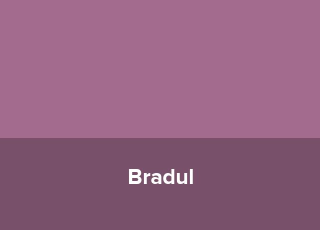 Casa Bradul