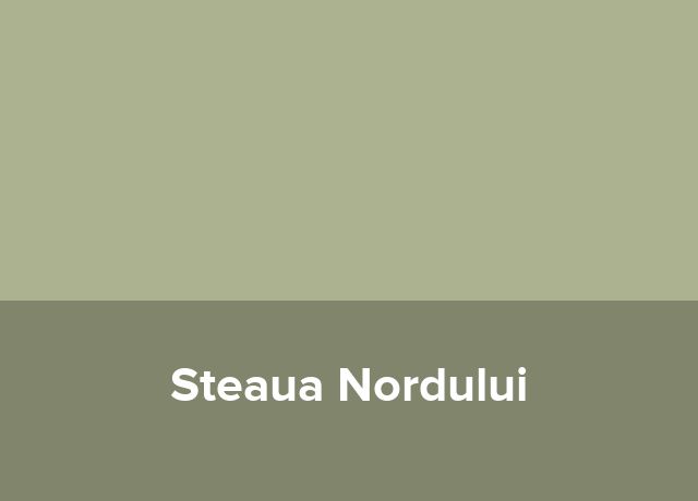 Popasul Steaua Nordului