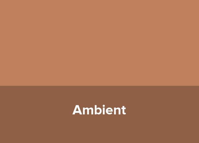 Hotel pentru tineret Ambient