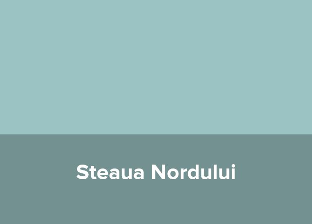 Pensiune rurala Steaua Nordului