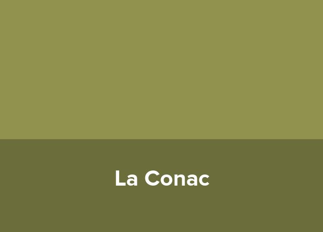 Vila La Conac
