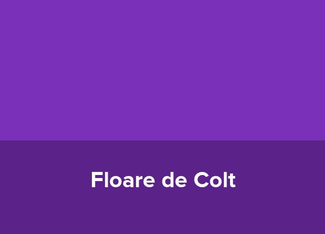 Glamping Floare de Colt