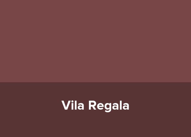 Centru de tineret Vila Regala