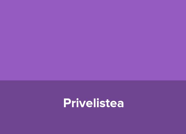 Centru de tineret Privelistea
