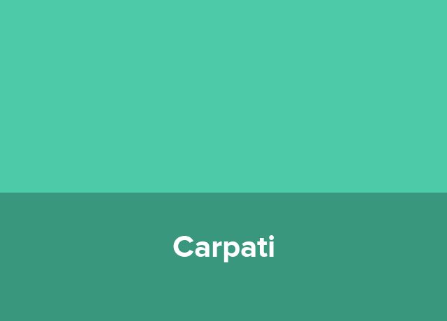 Apart Hotel Carpati