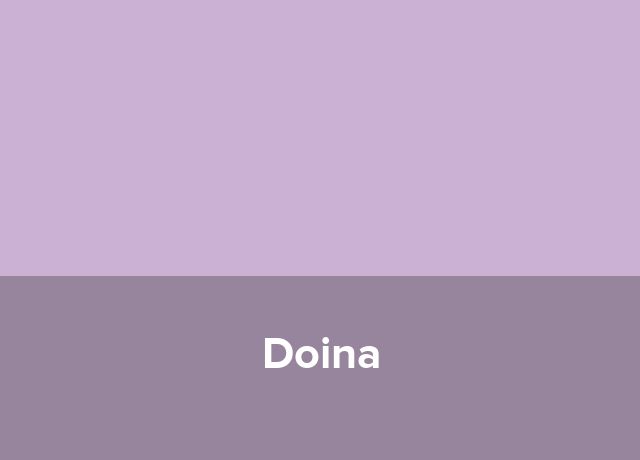 Centru de tineret Doina