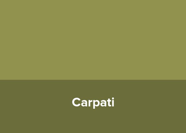 Hotel-Boutique Carpati