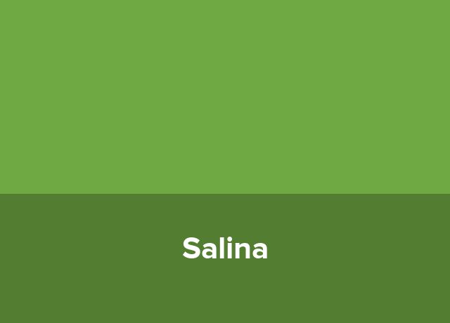 Domeniul Salina