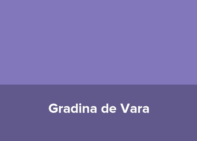 Pub Gradina de Vara