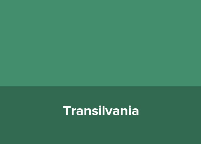 Conac Transilvania
