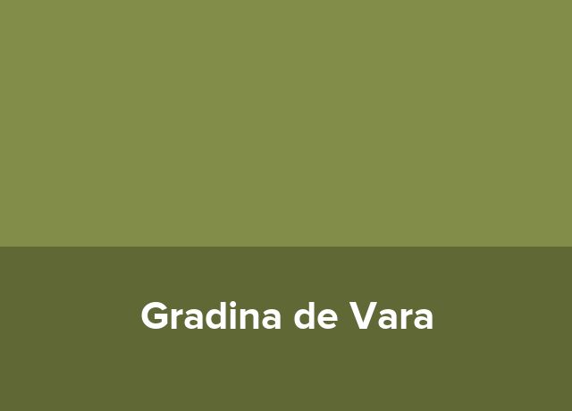 Hotel-Boutique Gradina de Vara