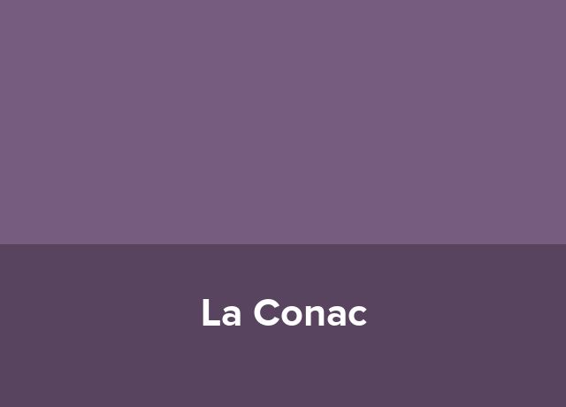 Casa de oaspeti La Conac