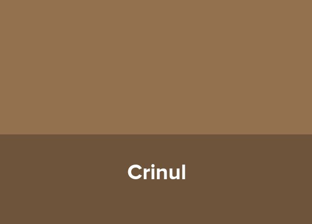 Microcomplex Crinul