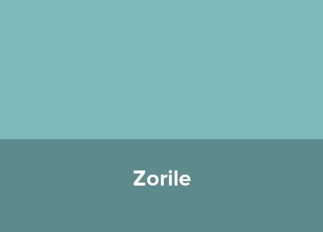 Casa de vacanta Zorile