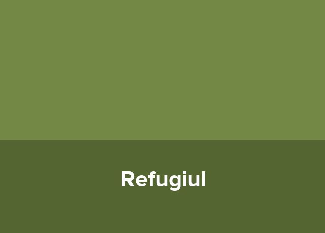 Ponton plutitor Refugiul