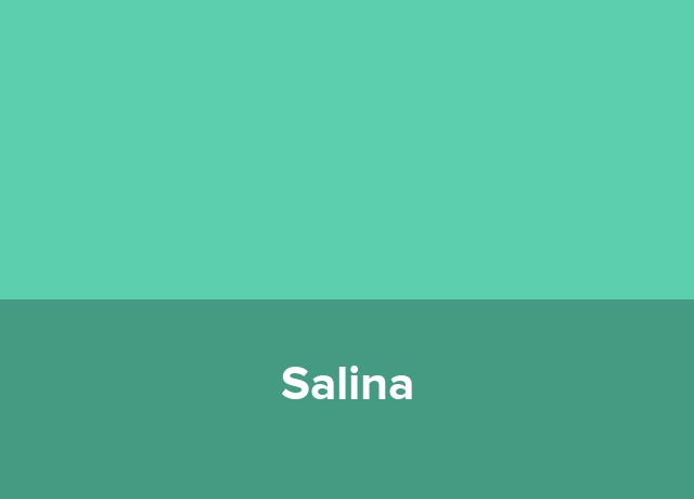 Pensiunea Salina