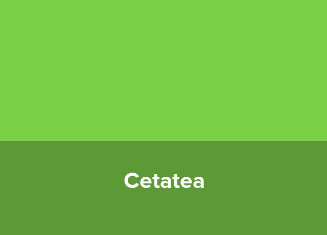Penthouse Cetatea