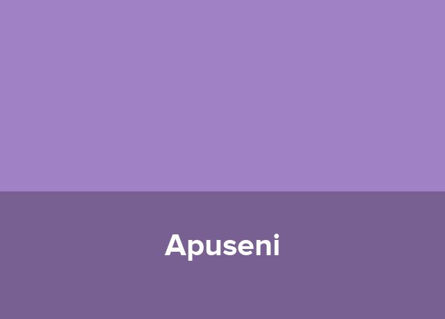 Boutique Apuseni