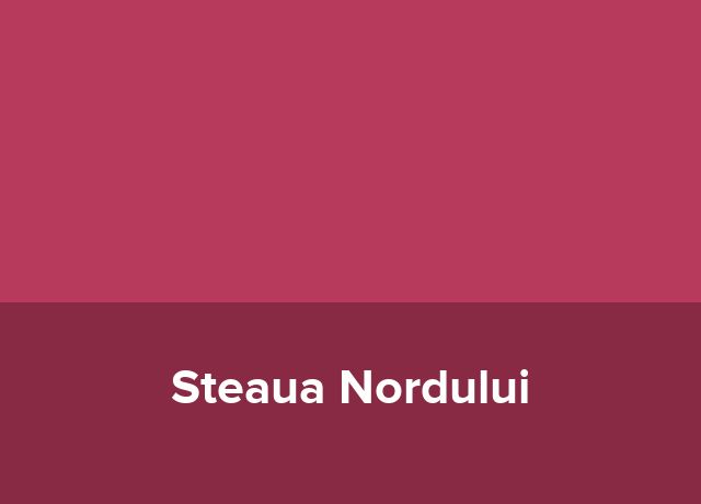 Apart Hotel Steaua Nordului