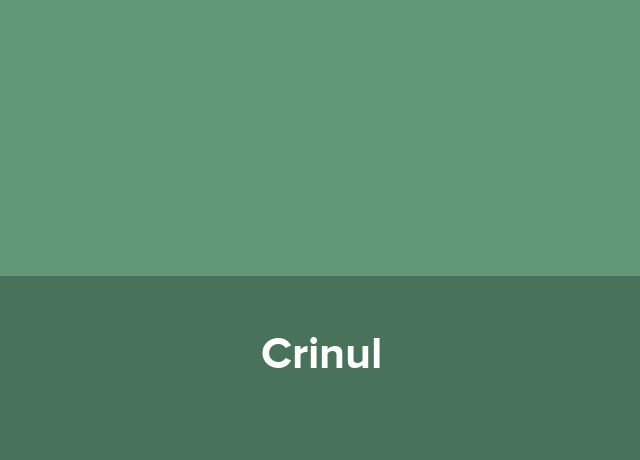 Hostel Crinul