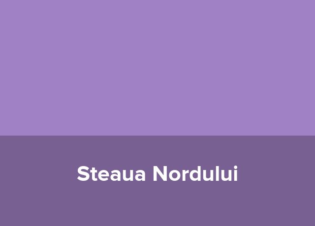 Garsoniera Steaua Nordului