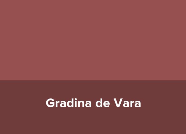Casuta Gradina de Vara