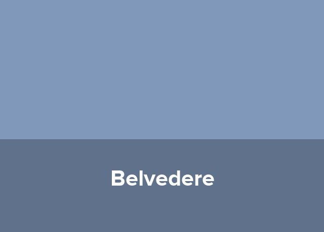 Nava fluviala Belvedere