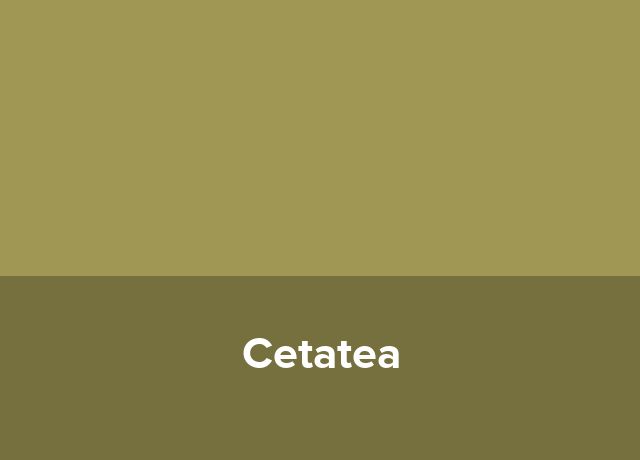 Apart Hotel Cetatea