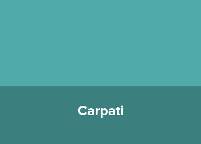 Sat de vacanta Carpati